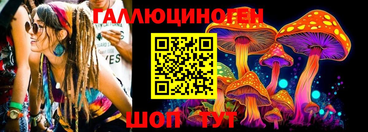 Псилоцибиновые грибы мицелий Елабуга