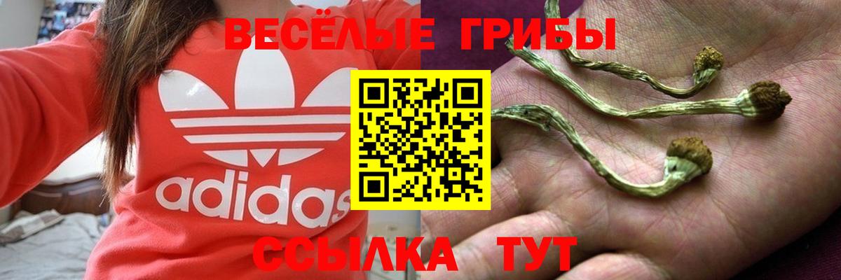 Псилоцибиновые грибы Psilocybine cubensis  Галлюциногенные грибы Psilocybe  Вход с VPN  Елабуга 