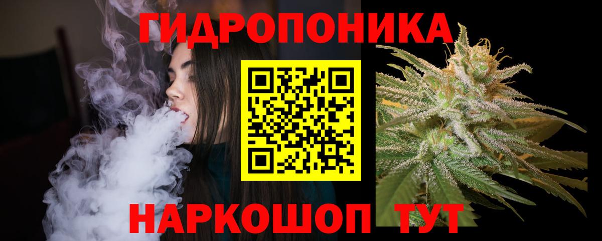 Елабуга  Марихуана сатива  Бошки Шишки Bruce Banner  Марихуана конопля  Бошки марихуана Bruce Banner  Вход с VPN 